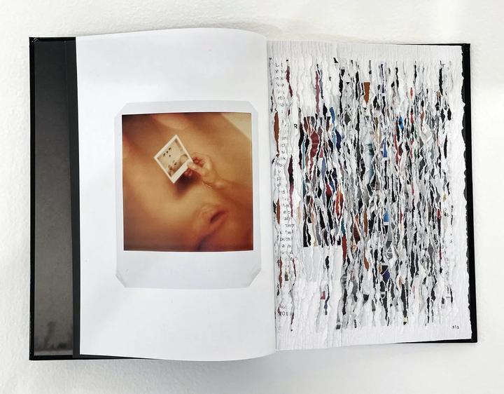 The Polaroid Book, 2024